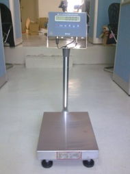 東莞磅秤,報(bào)價(jià),防暴磅秤